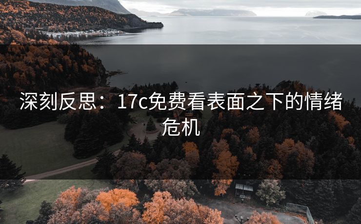 深刻反思:17c免费看表面之下的情绪危机 深刻反思:17c免费看表面之下的情绪危机